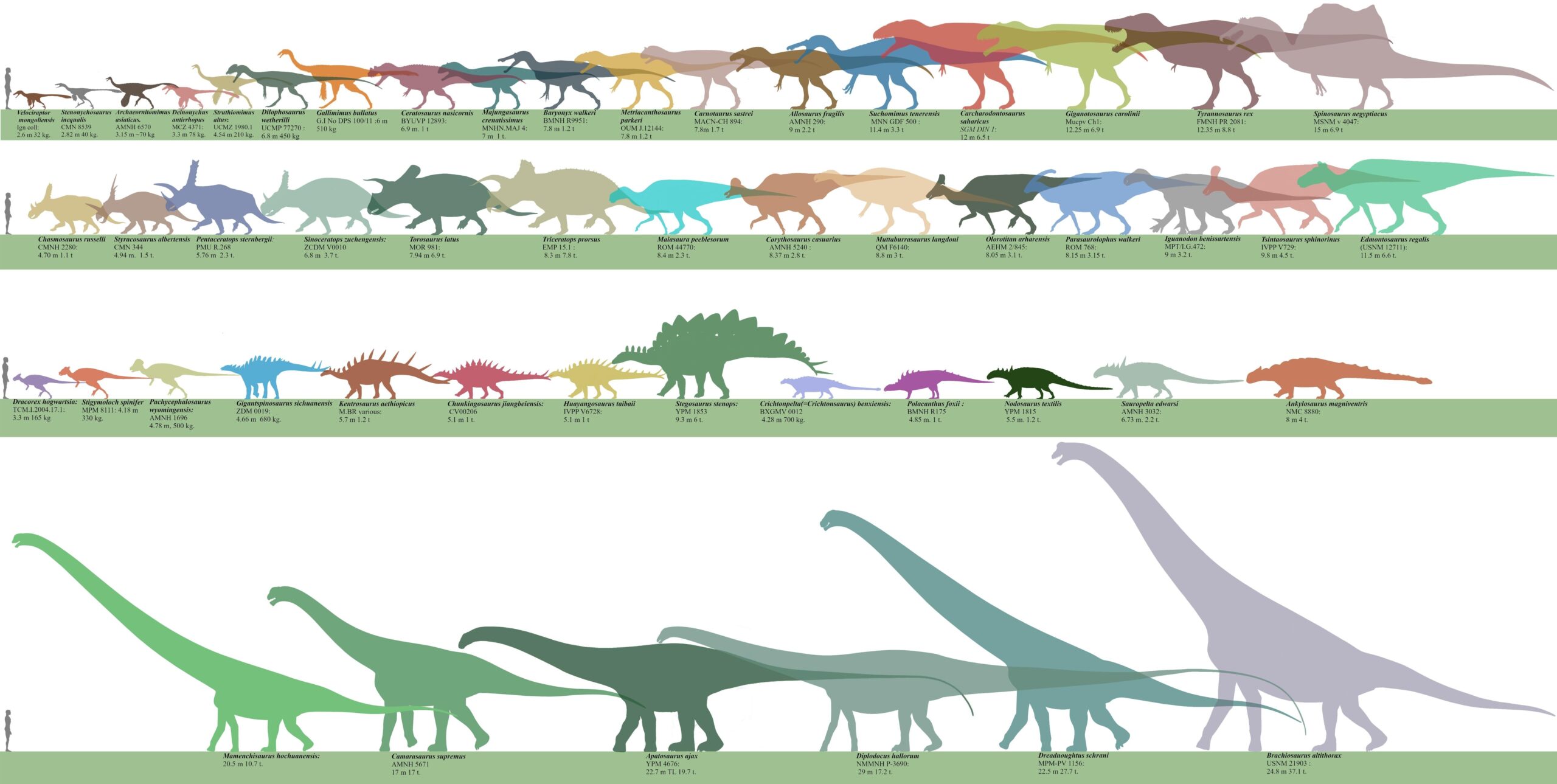 The Real Sizes Of The Dinosaurs By Franoys R Jurassicworldevo