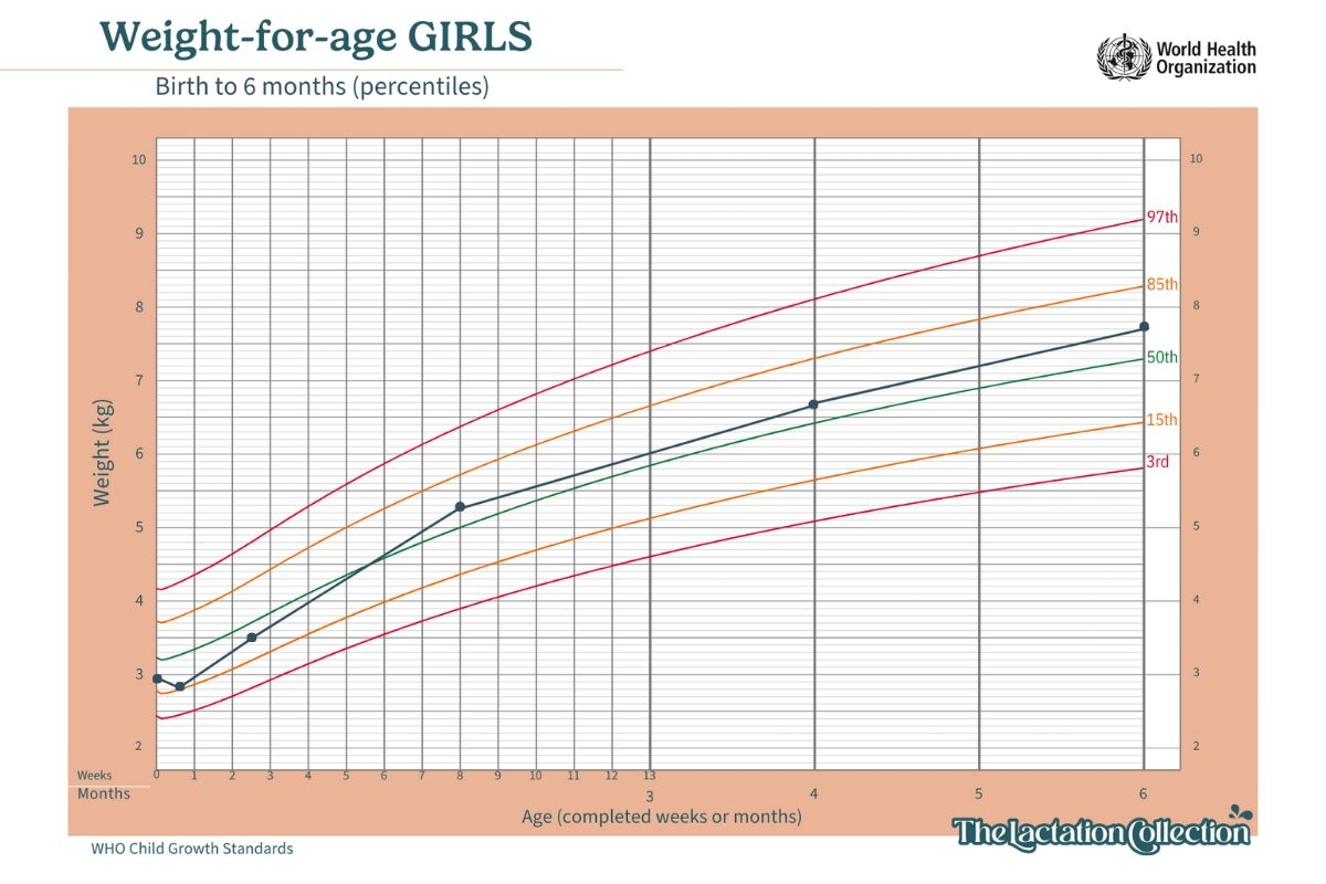 Understanding Your Baby S Weight Gain In The First Year The Lactation Collection