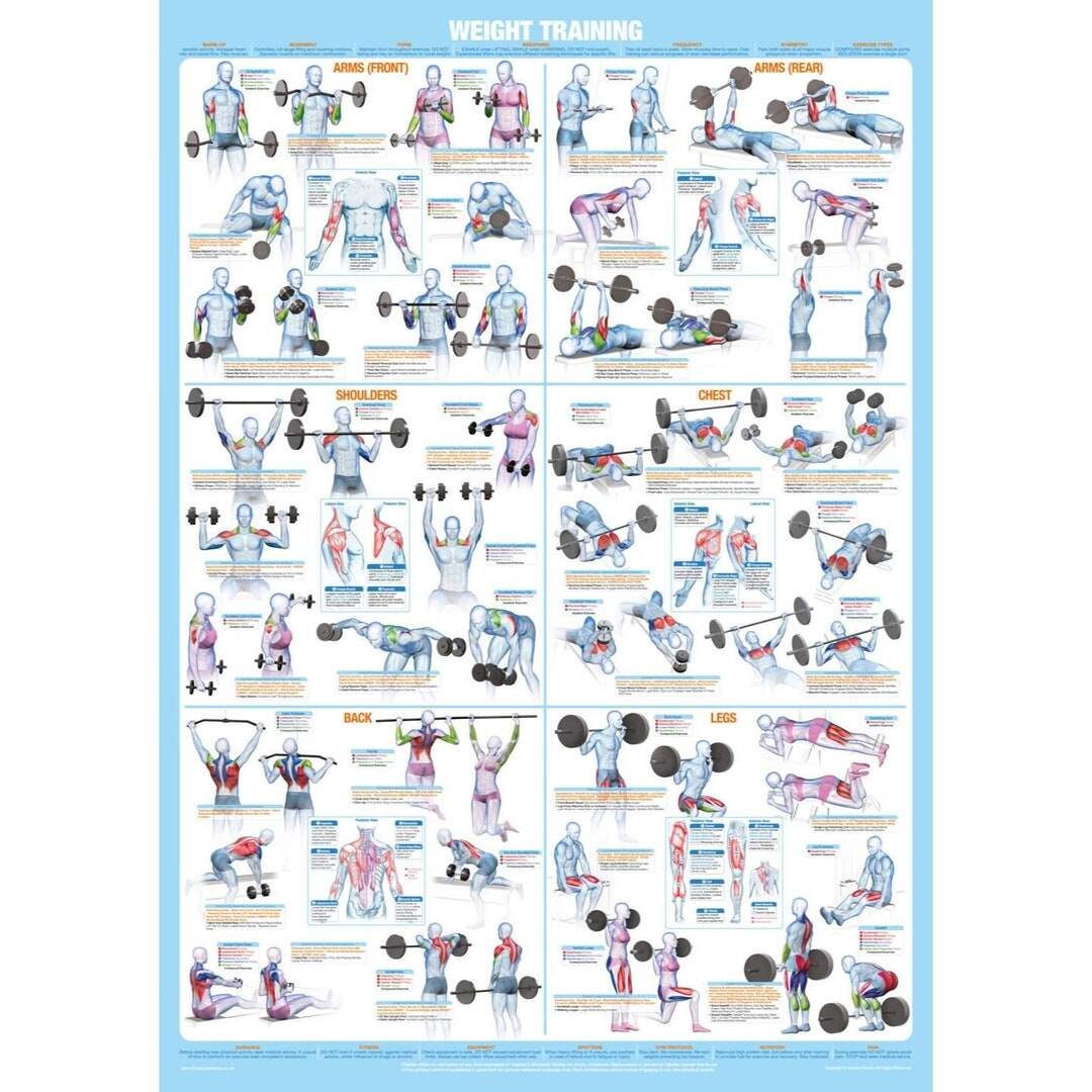 Weight Training Poster Full Body Workout Chart Etsy