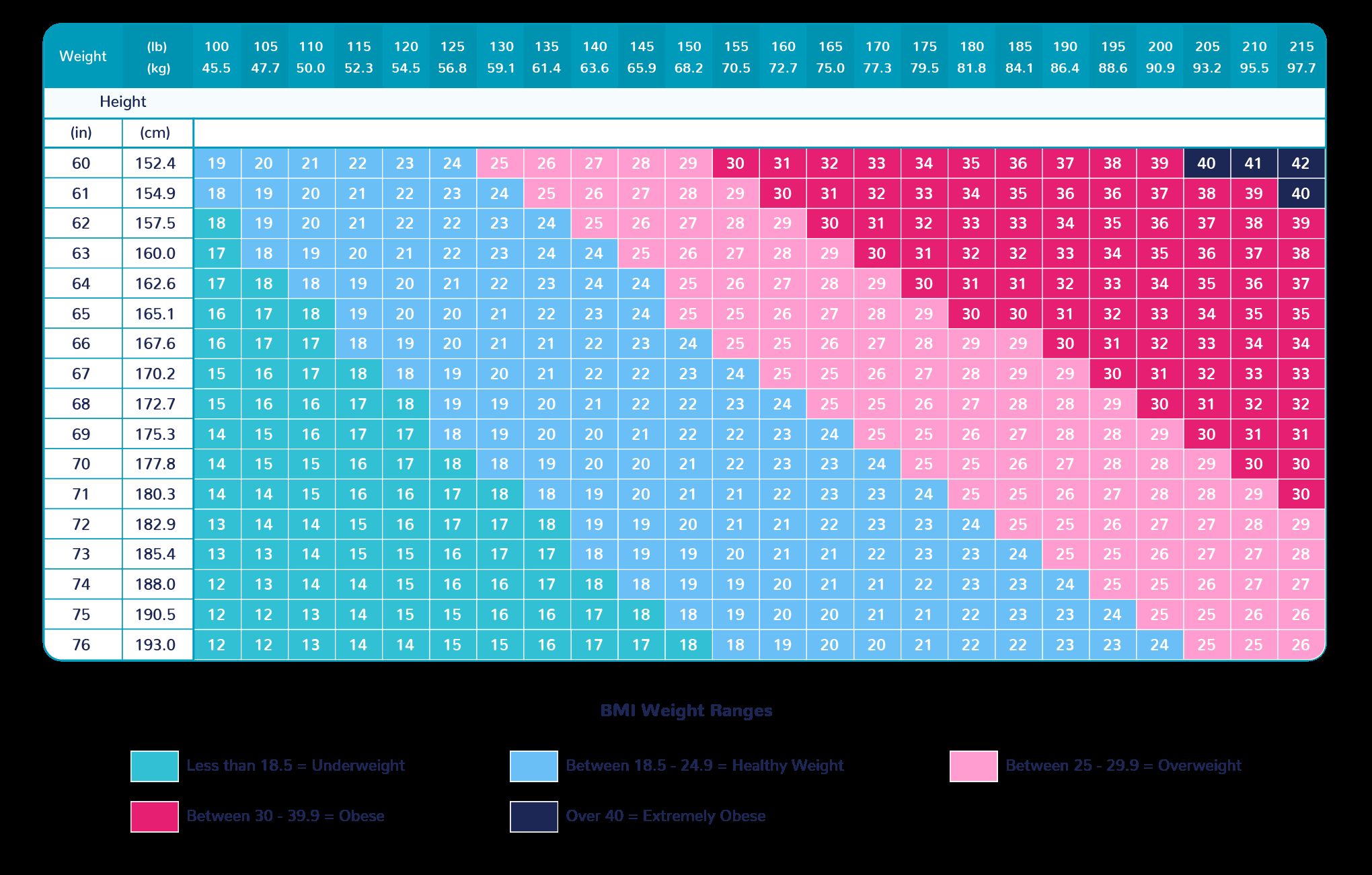 What BMI Do You Need For Weight Loss Medication Guides