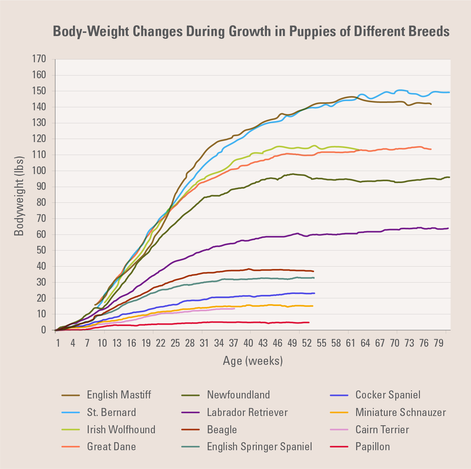 When Do Puppies Stop Growing A Puppy Growth Guide When Do Puppies Stop Growing A Puppy Growth Guide
