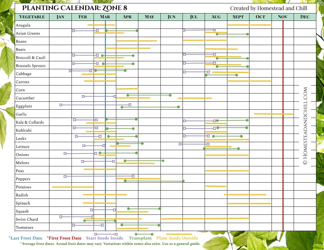 Mastering VPD For Optimal Plant Growth The Ultimate Manual