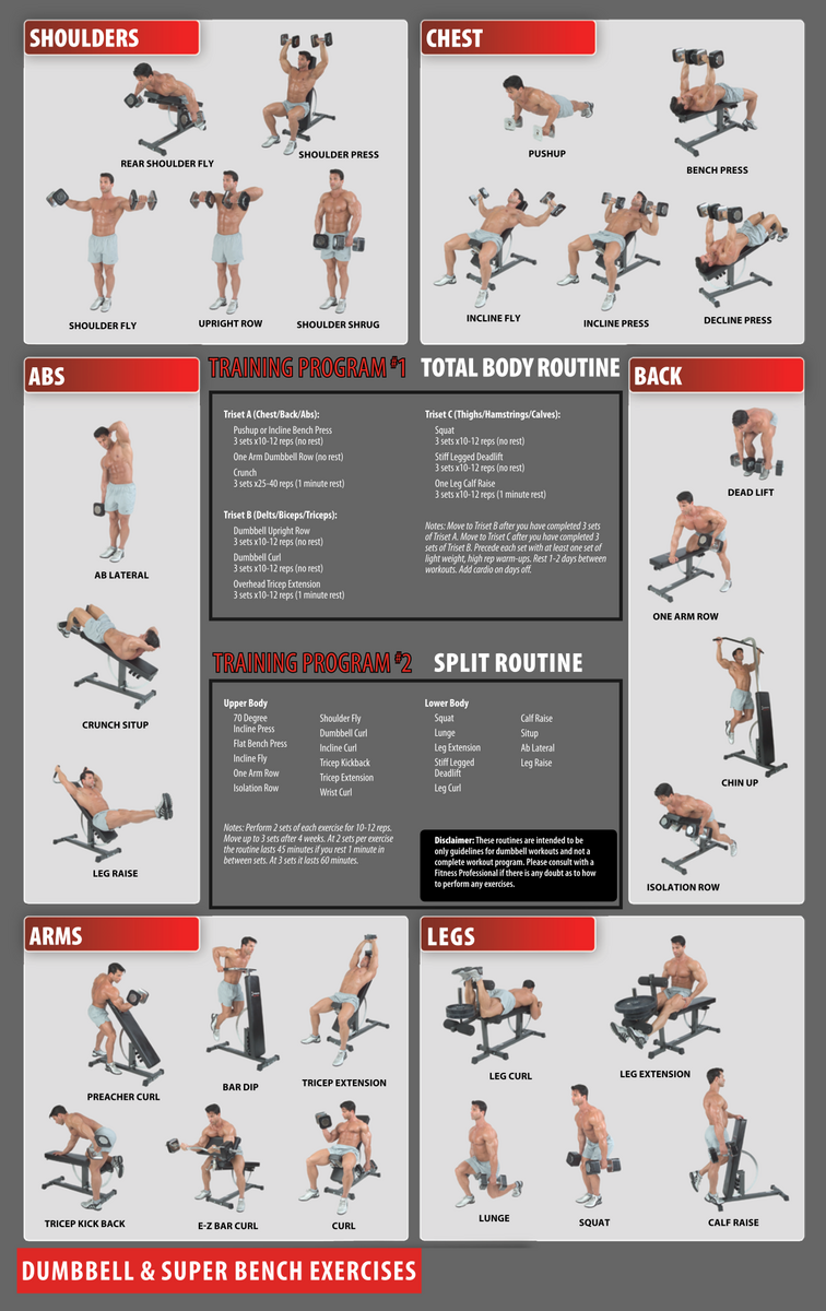 Workout Chart Total Gym Quad Exercises Gym Workout Chart Workout Plan Total Gym Exercises Pdf Day Workout Chart Total Gym Quad Exercises Gym Workout Chart Workout Plan Total Gym Exercises Pdf Day