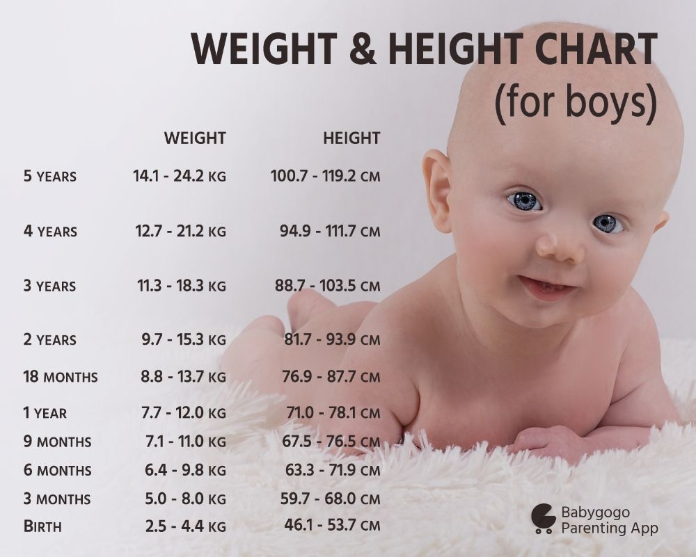 Year Old Weight Chart Girl Infant Month Old Growth Chart Baby Boy Weight Chart Infant Child